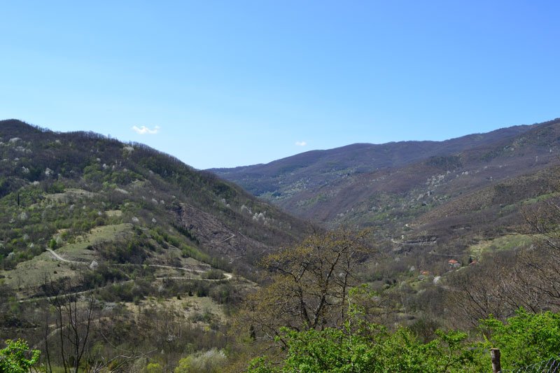 Terreno boschivo a Pezza Rimbocchi a Arezzo in Vendita
