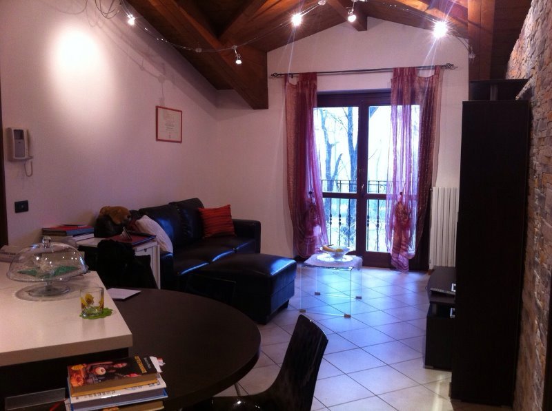 Appartamento bilocale mansardato viale Lodi a Pavia in Affitto