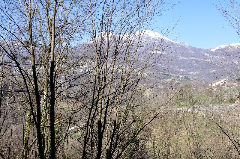 Locali a Valle Imagna a Bergamo in Affitto