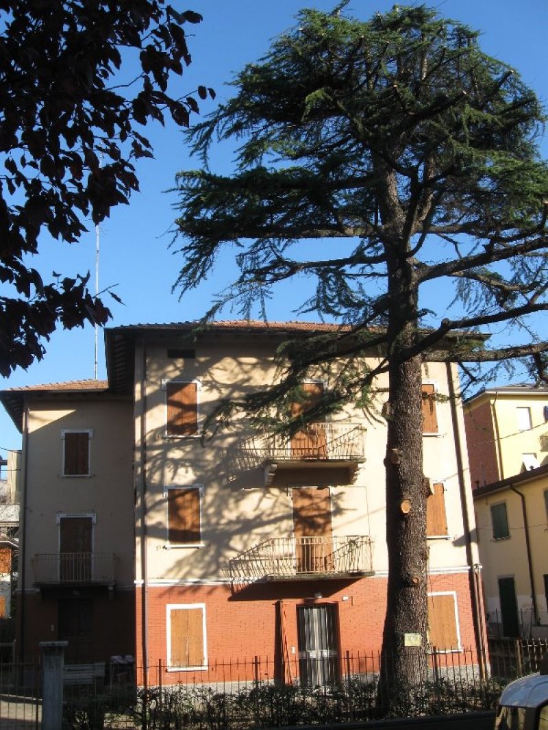 Casa singola indipendente a Reggio Emilia a Reggio nell'Emilia in Vendita