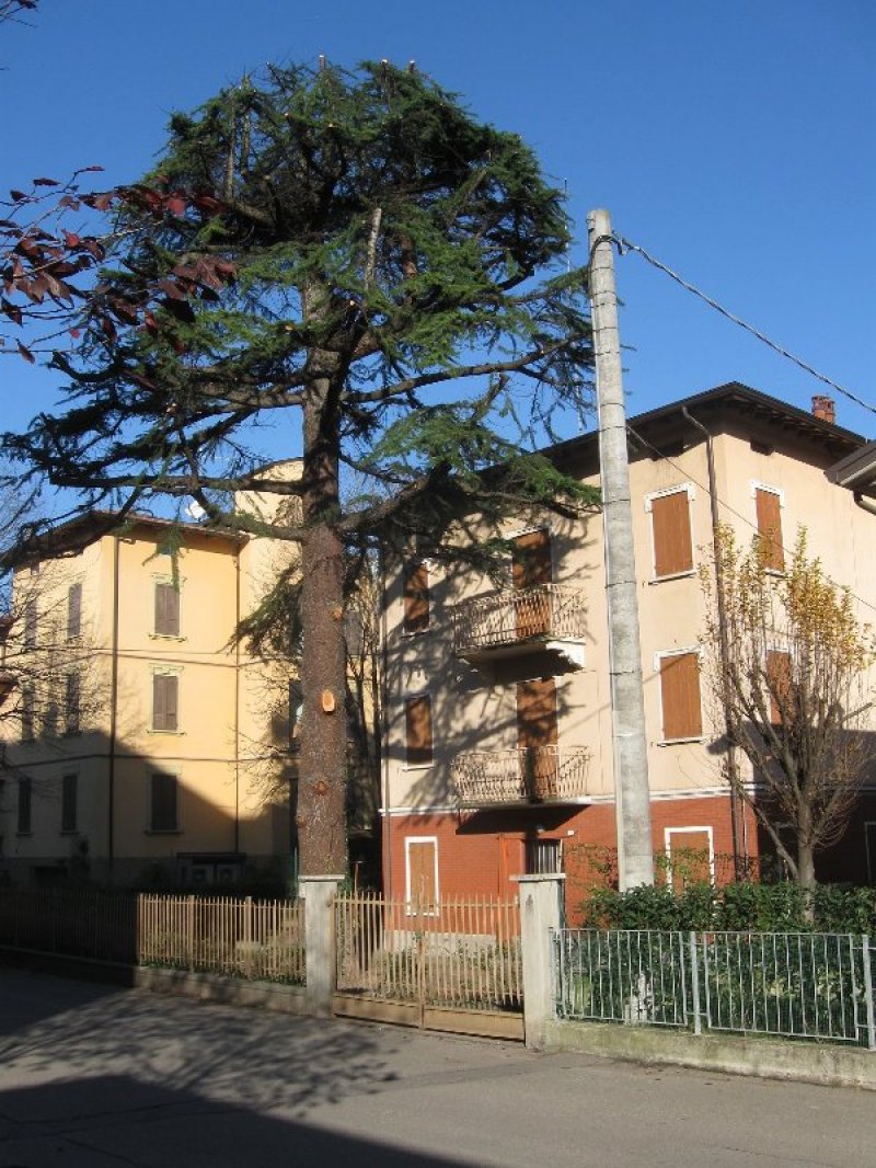 Casa singola indipendente a Reggio Emilia a Reggio nell'Emilia in Vendita