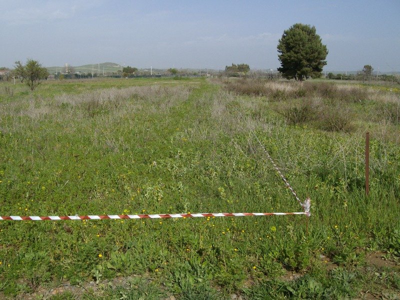Terreno agricolo Selargius Ussana a Cagliari in Vendita