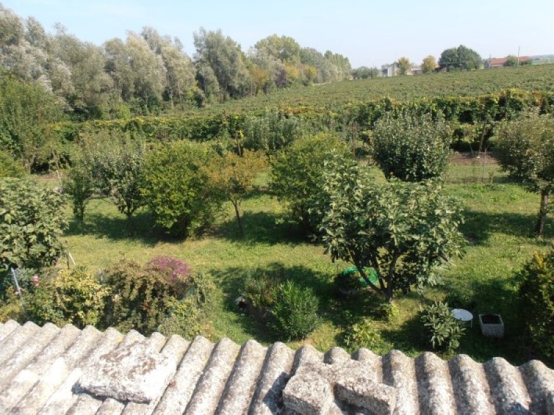 Terreno agricolo a Carpi a Modena in Vendita