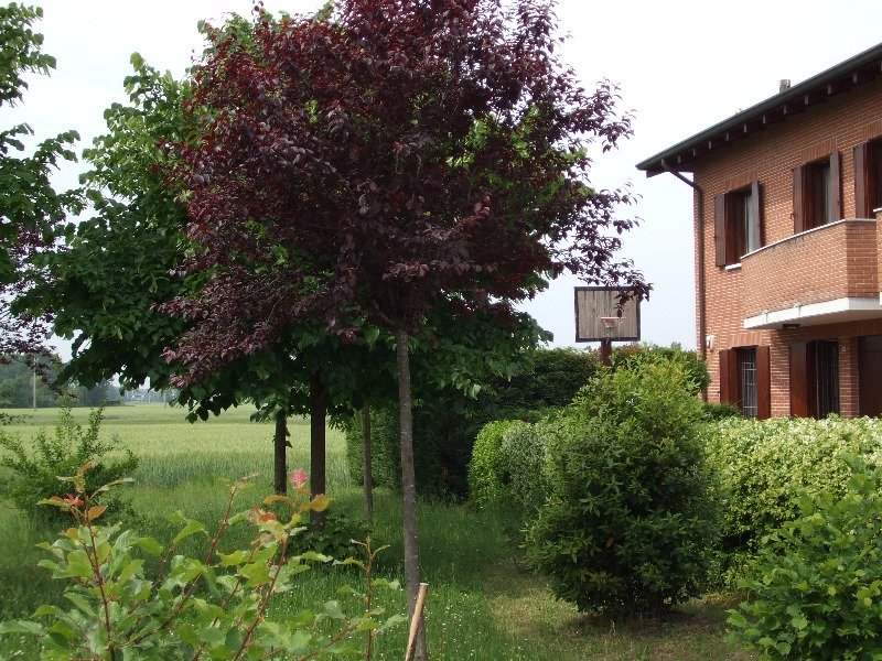 Pontegradella casa in quadrifamiliare a Ferrara in Vendita