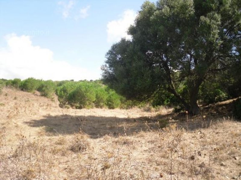 Terreno agricolo a Teulada a Cagliari in Vendita