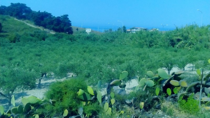 Ribera localit Seccagrande terreno a Agrigento in Vendita