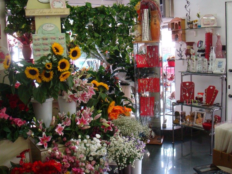 Appio Latino negozio di fiori e piante a Roma in Vendita
