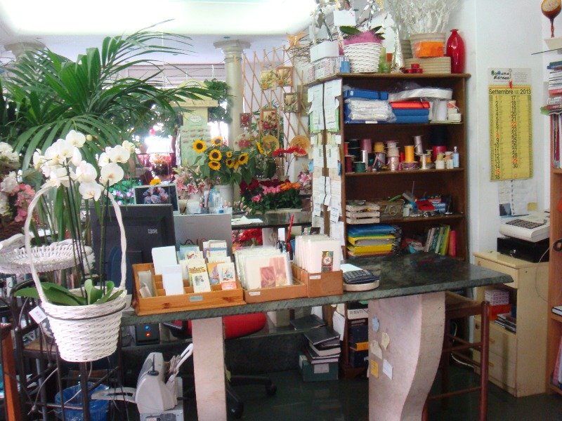 Appio Latino negozio di fiori e piante a Roma in Vendita