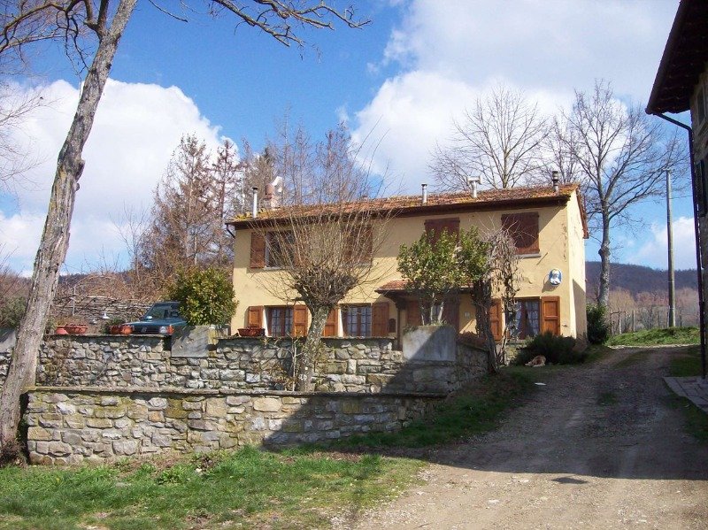Pratovecchio casa nel verde a Arezzo in Affitto