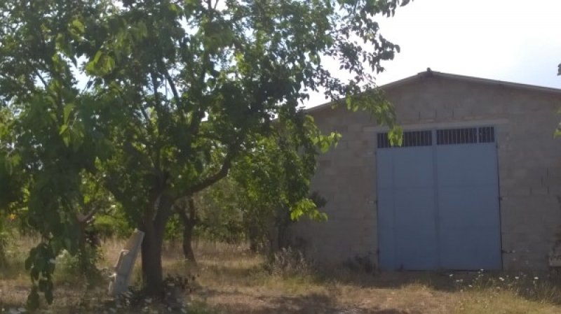 Azienda agricola Arielli Localit Fonte Grande a Chieti in Vendita