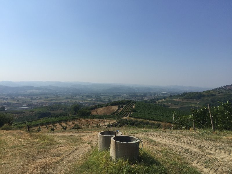 Govone lotti di terreno edificabili a Cuneo in Vendita