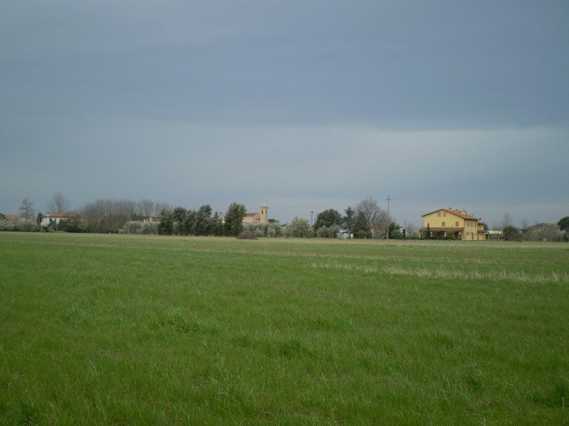Terreno agricolo a Colignola a Pisa in Vendita