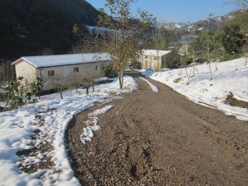 Sarsina rustico capannoni e terreno a Forli-Cesena in Vendita