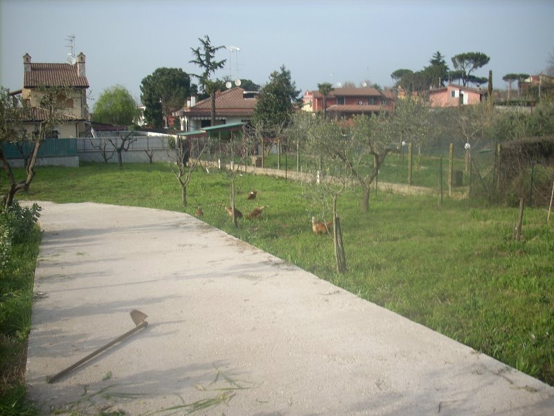Terreno agricolo a Colonna a Roma in Vendita