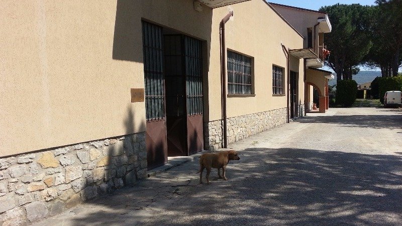 Cortona laboratorio artigianale e commerciale a Arezzo in Vendita