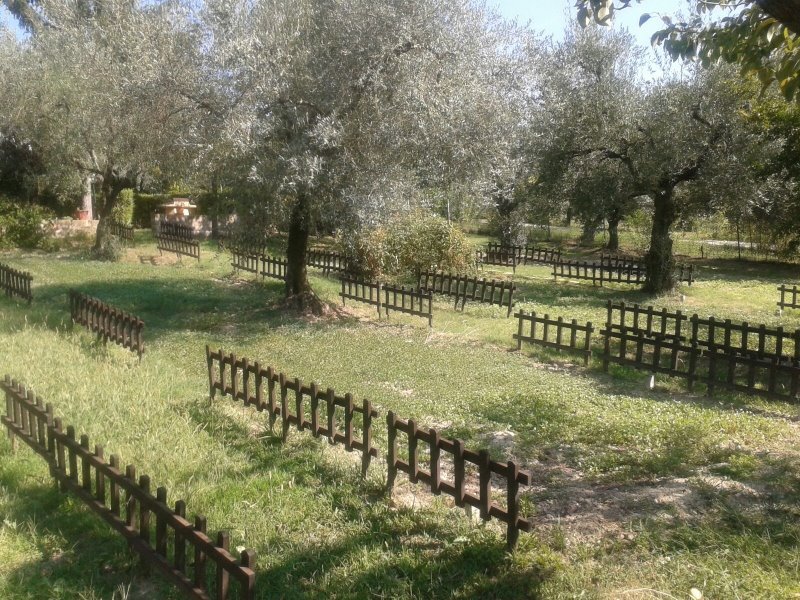 Montopoli di Sabina villino di campagna a Rieti in Vendita