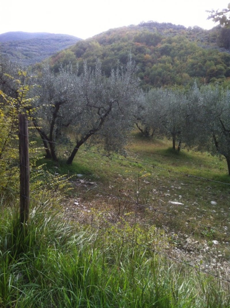 Terreno agricolo Costa del Sole a Scandriglia a Rieti in Vendita