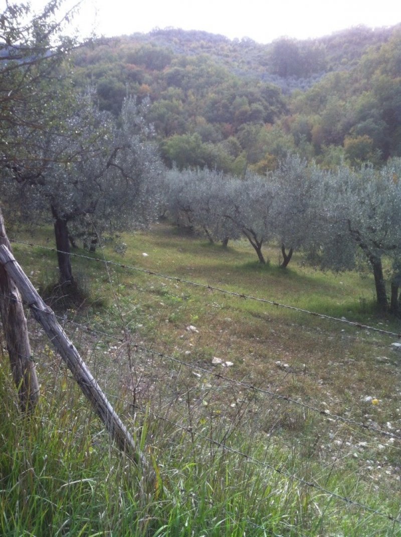 Terreno agricolo Costa del Sole a Scandriglia a Rieti in Vendita