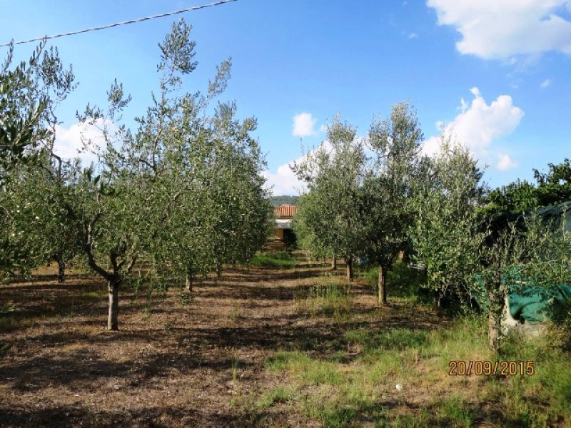 Annesso agricolo in localit Cafaggio a Livorno in Vendita