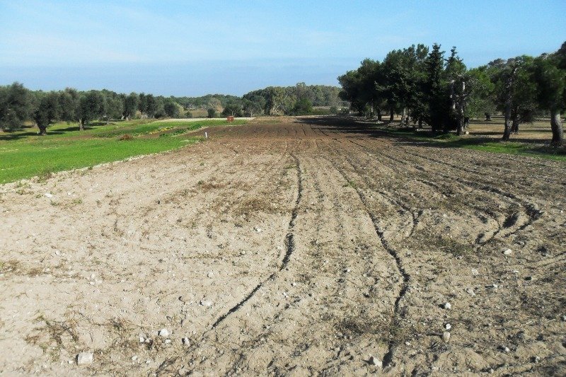 Terreno agricolo a Vernole a Lecce in Vendita