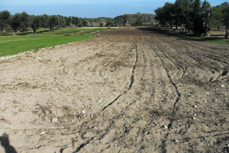 Terreno agricolo a Vernole a Lecce in Vendita