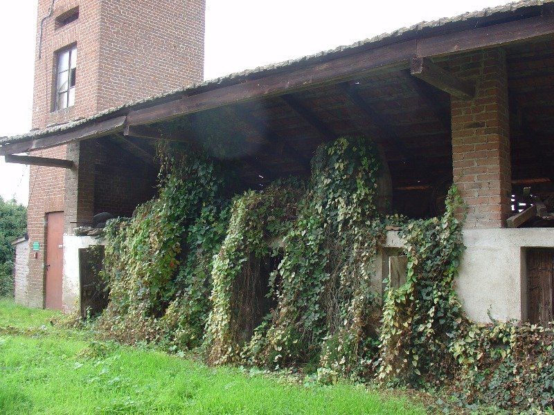 Immobile in Casalrosso comune di Lignana a Vercelli in Vendita