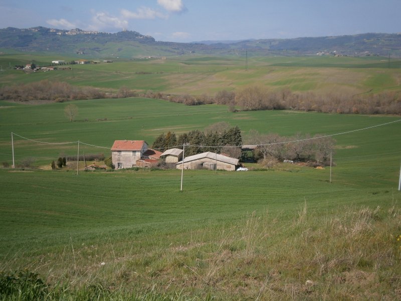 Azienda agricola S.Placido in Castiglione d'Orcia a Siena in Vendita