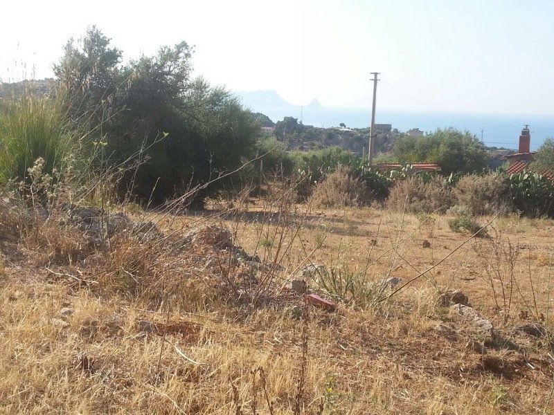 Trabia contrada Denigagi terreno agricolo a Palermo in Vendita