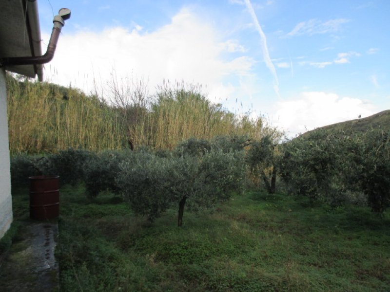Terreno agricolo con casetta Santa Lucia del Mela a Messina in Vendita