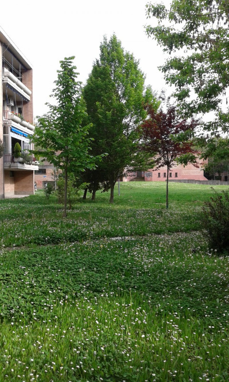 Zona Foro Boario appartamento arredato a Ferrara in Vendita