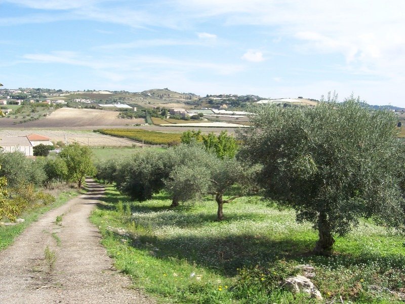 Serradifalco terreno per la coltivazione agricola a Caltanissetta in Vendita
