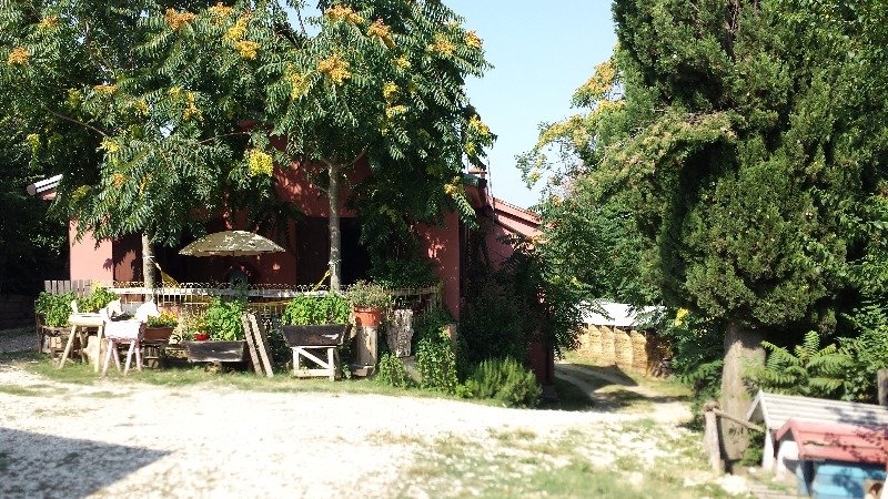 Riolo Terme casa con capannone a Ravenna in Vendita