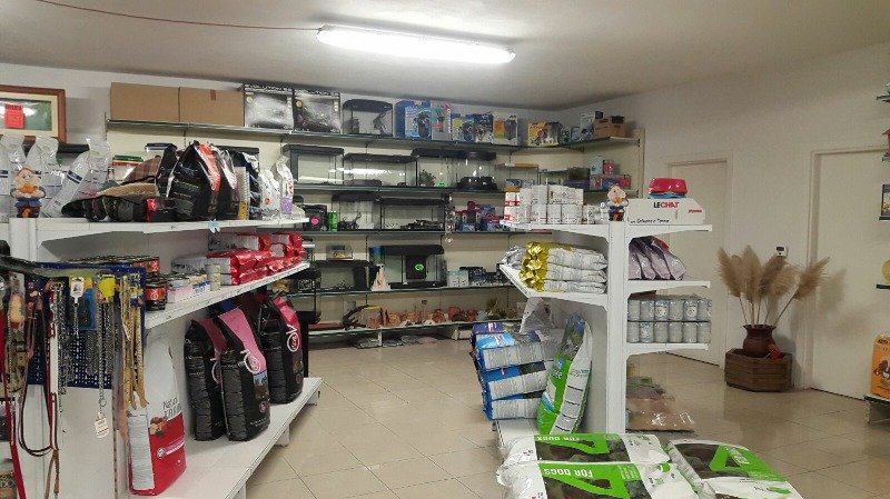 San Damiano d'Asti negozio di mangimi e accessori a Asti in Vendita