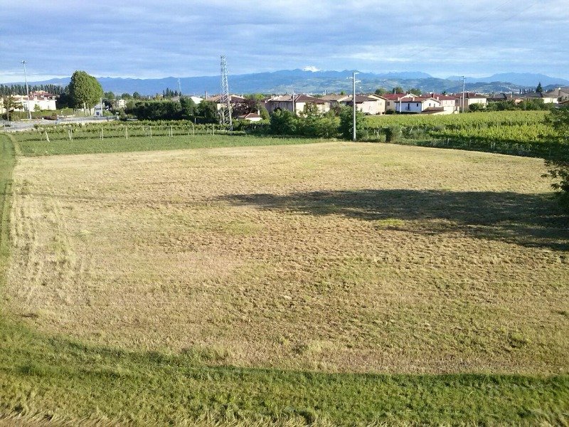 Lonigo appezzamento di terreno agricolo a Vicenza in Vendita
