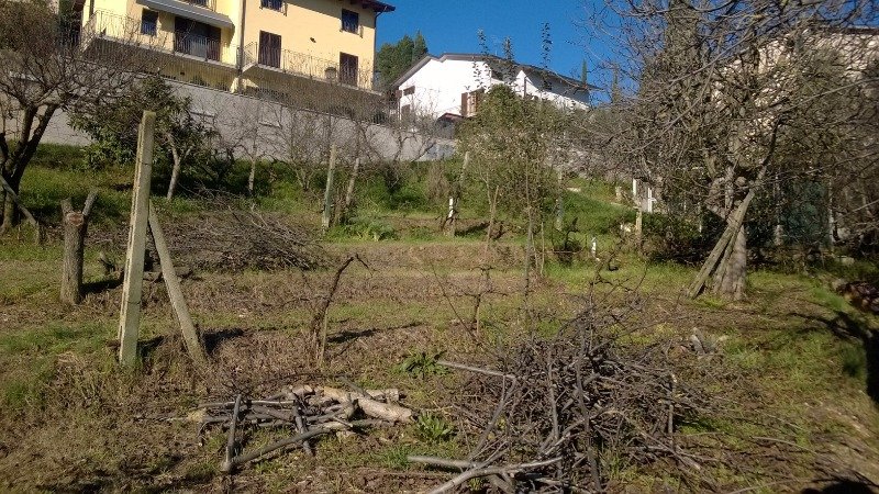 Solomeo terreno edificabile a Perugia in Vendita