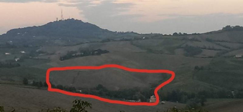 Fratta Terme di Bertinoro podere agricolo a Forli-Cesena in Vendita