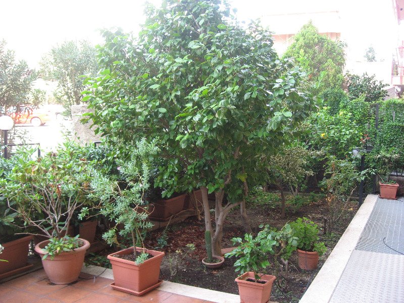 Messina appartamento panoramico con giardino a Messina in Vendita