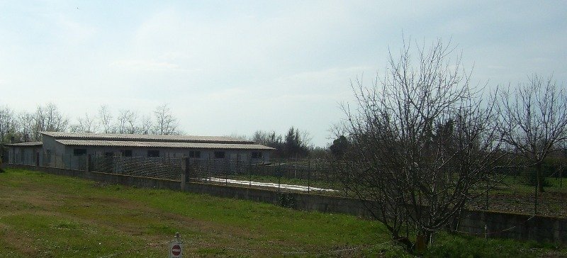 Romans d'Isonzo terreno con capannone agricolo a Gorizia in Vendita