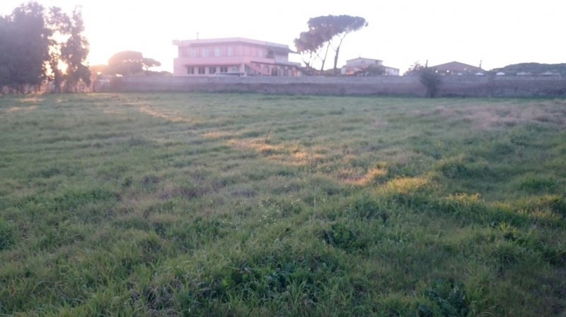 Nettuno terreno agricolo a Roma in Vendita