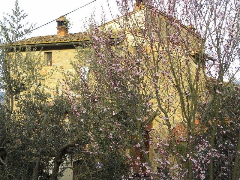 Agazzi casale a Arezzo in Vendita