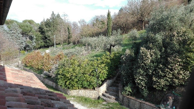 Perugia casale immerso nel verde a Perugia in Affitto
