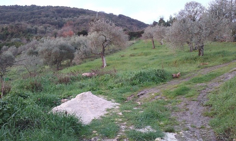 A Cargeghe terreno a Sassari in Vendita