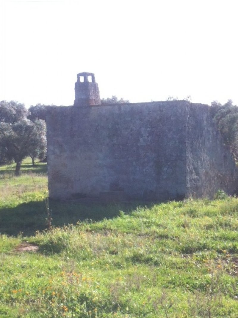 San Vito dei Normanni terreno con casotto a Brindisi in Vendita