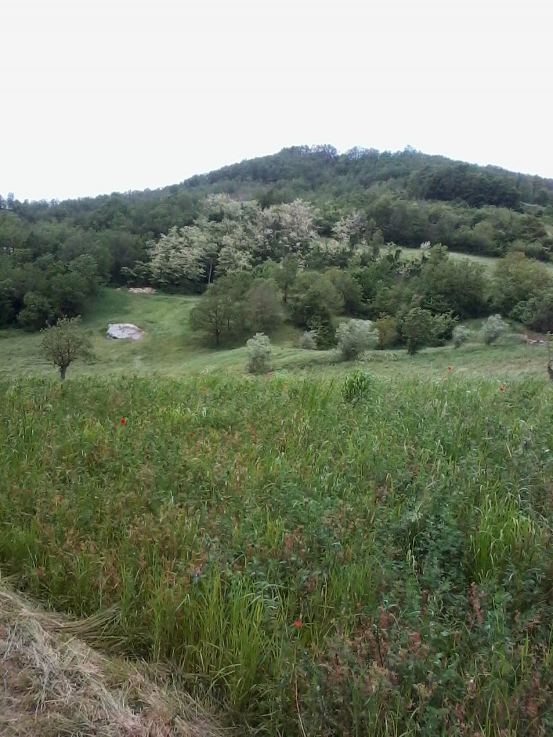 Neviano degli Arduini terreno montuoso agricolo a Parma in Vendita