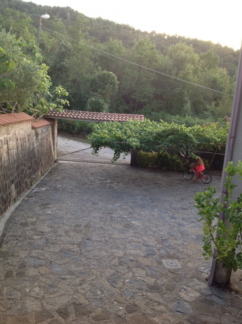 Perdifumo villa panoramica immersa nel verde a Salerno in Affitto