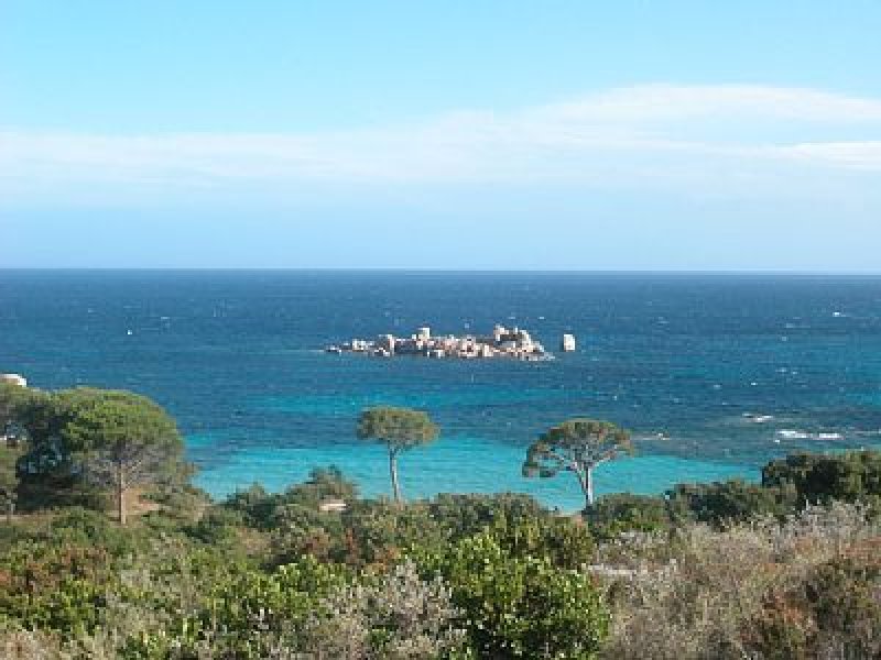 Corsica porto vecchio Palombaggia casa vacanza a Francia in Affitto