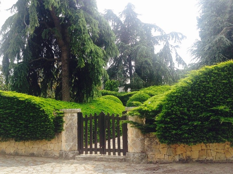 Ostuni prestigiosa villa a Brindisi in Vendita