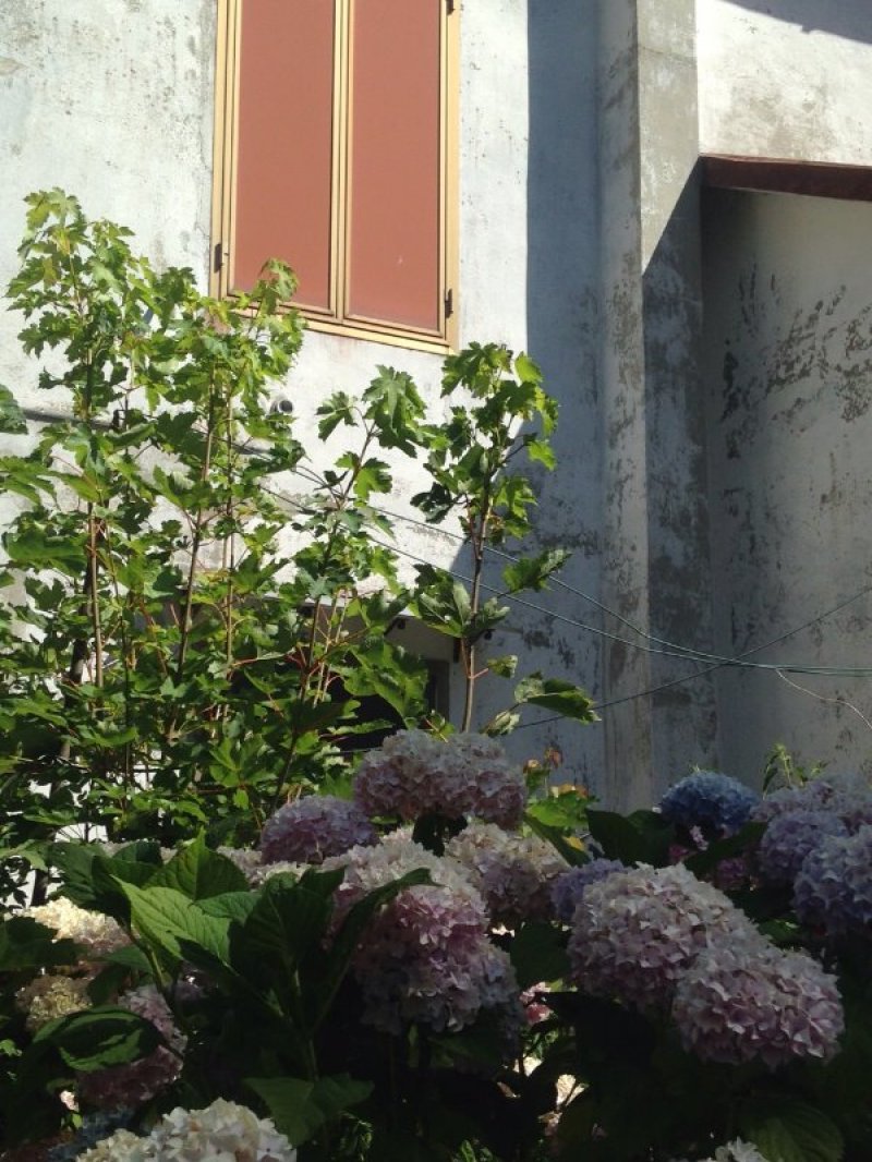 Rigoso porzione di antica casa in sasso a Parma in Vendita