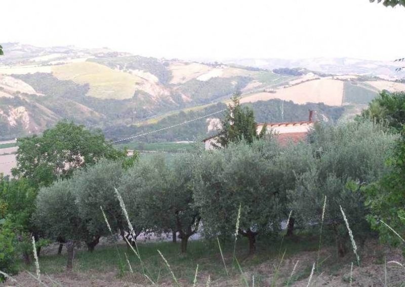 Porchia di Montalto Marche casa a Ascoli Piceno in Vendita