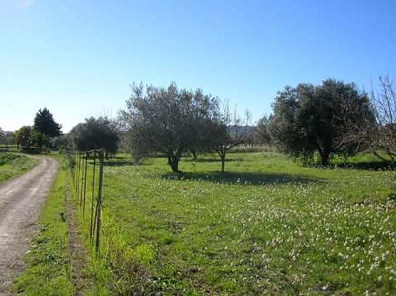 Serradifalco terreno pianeggiante edificabile a Caltanissetta in Vendita